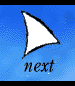 NextSection