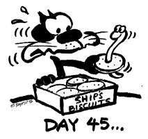 Day 45