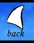 Back in site